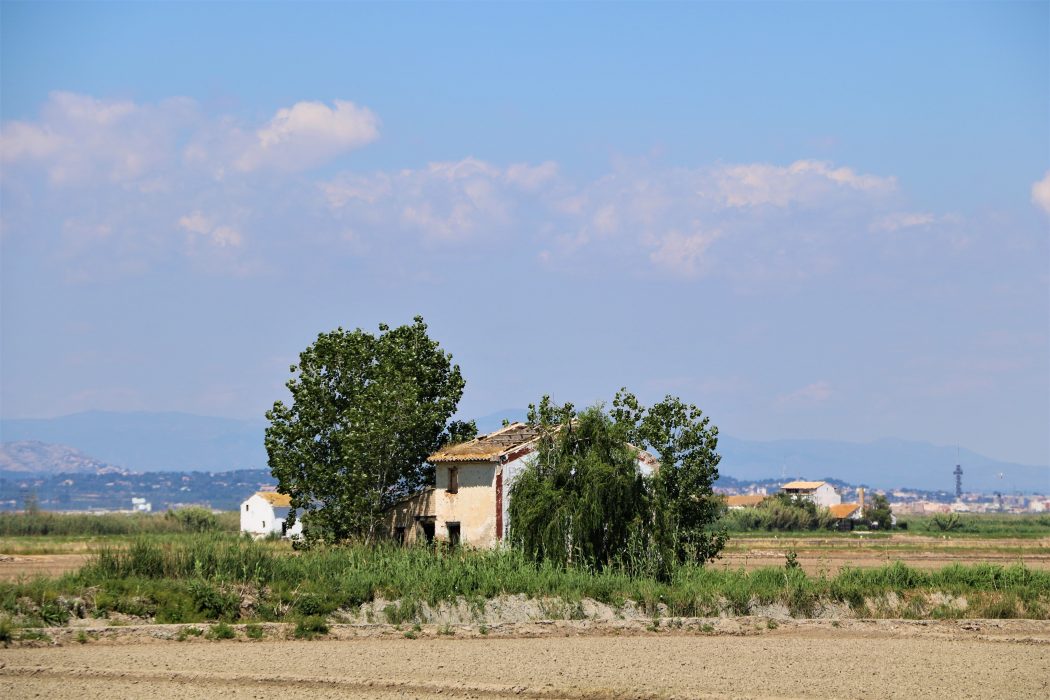 Albufera-valencia-natuurgebied