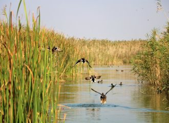 albufera-valencia