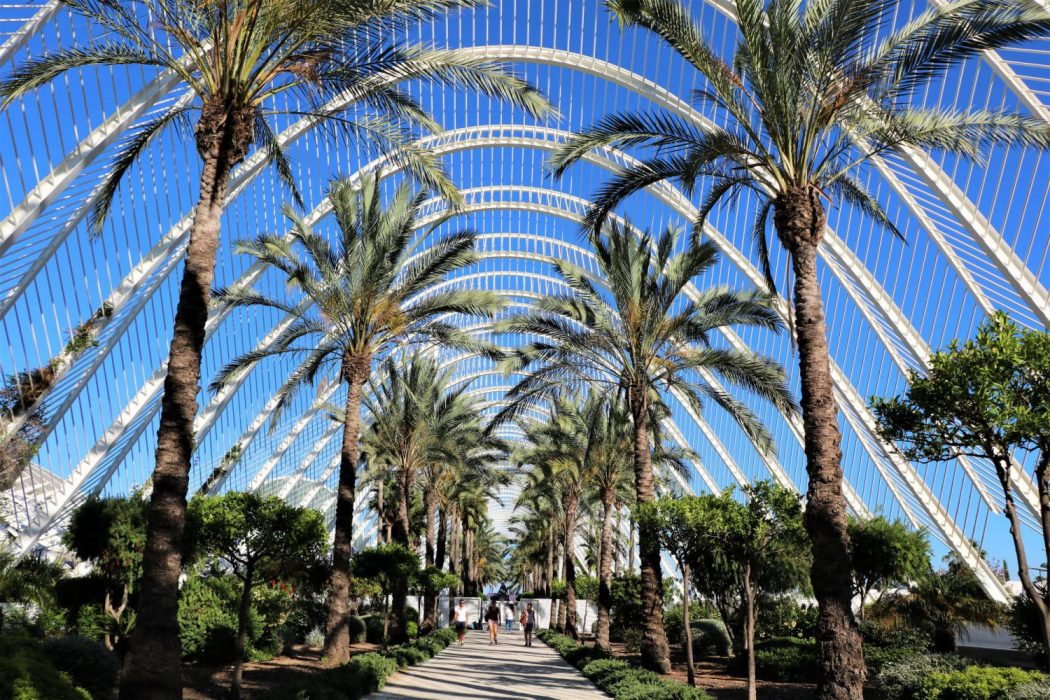 bezienswaardigheden-valencia-umbracle-ciudad-de-las-artes-y-las-ciencias