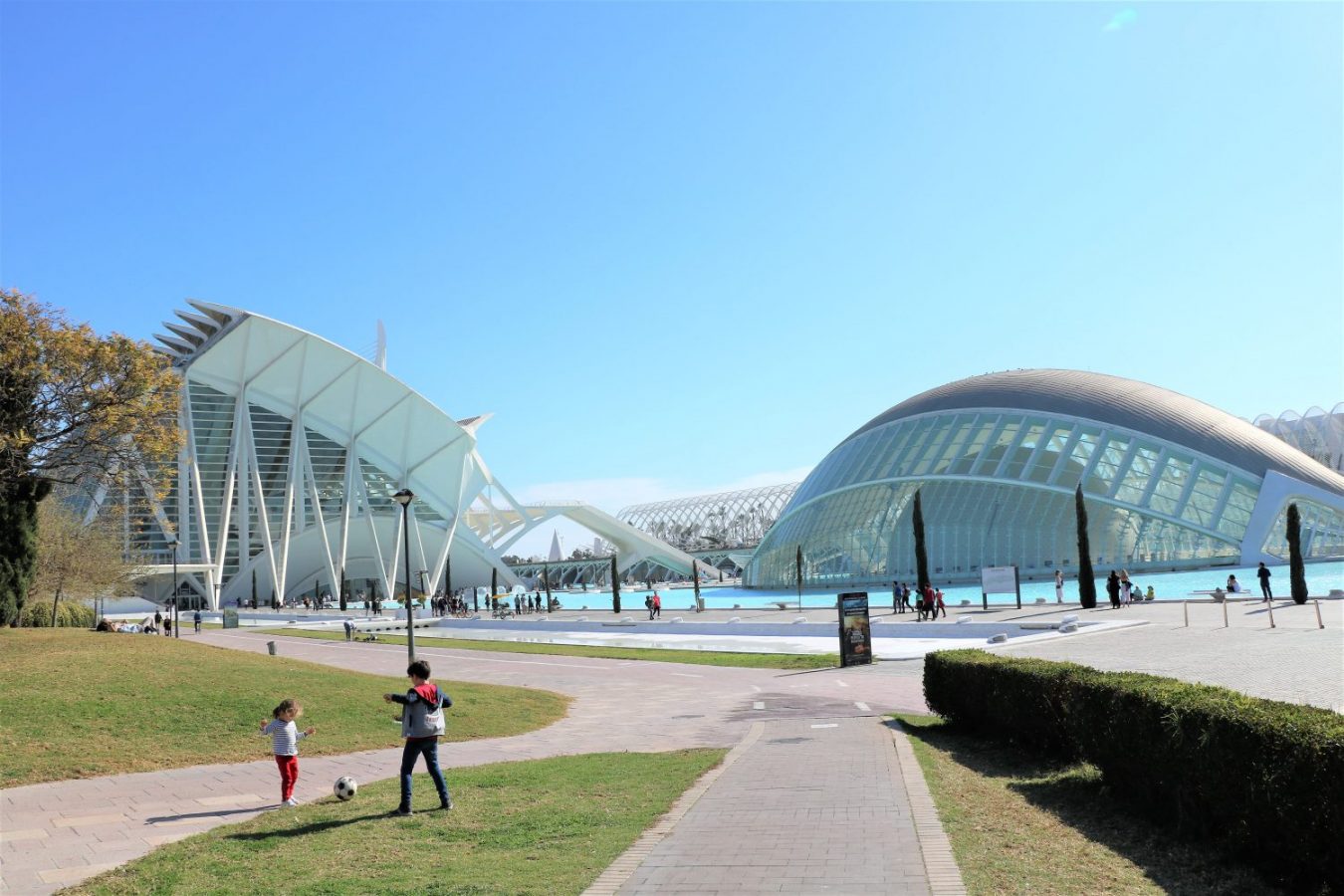 bezienswaardigheden-valencia-ciudad-de-las-artes-y-las-ciencias
