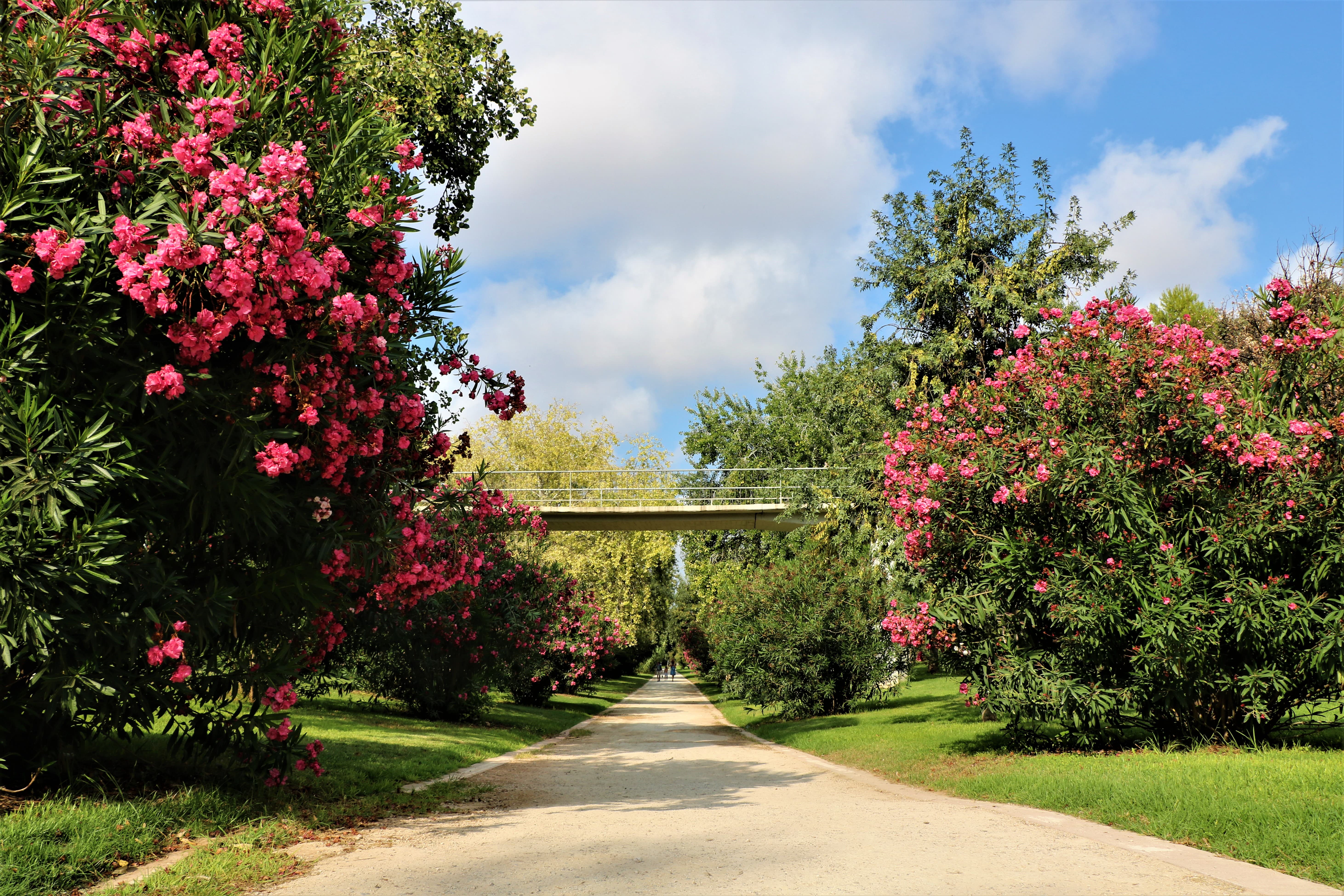 valencia-jardin-del-turia