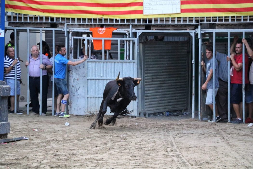 Vilafamés-spanje