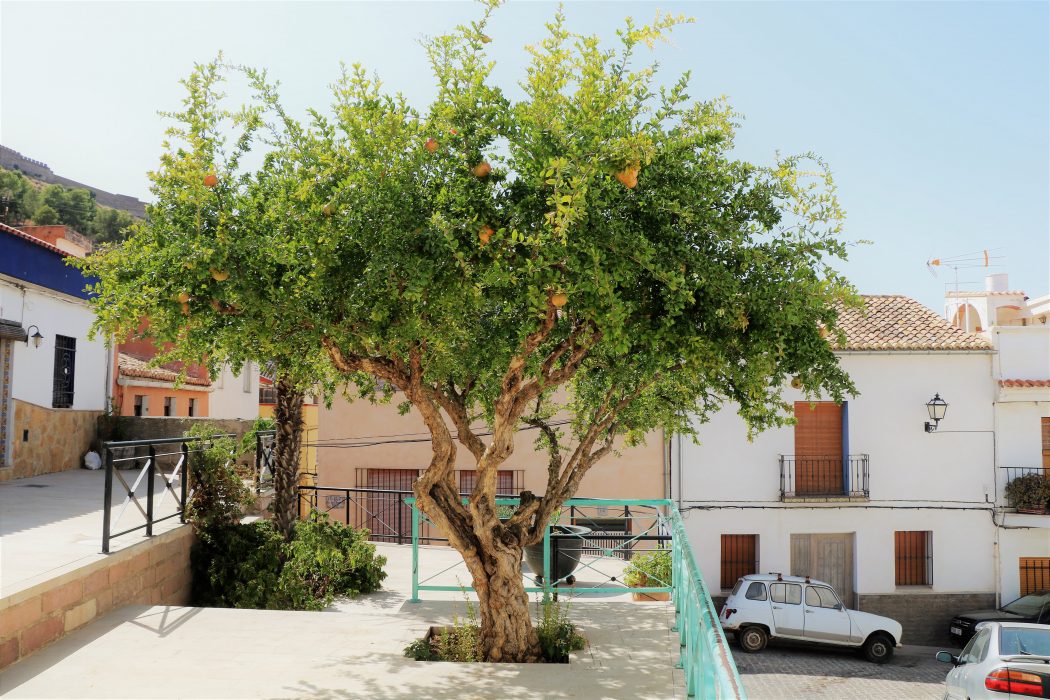 Sagunto-spanje