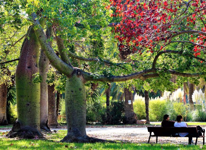 parken-valencia-jardines-de-viveros