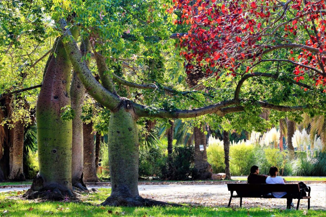 parken-valencia-jardines-de-viveros