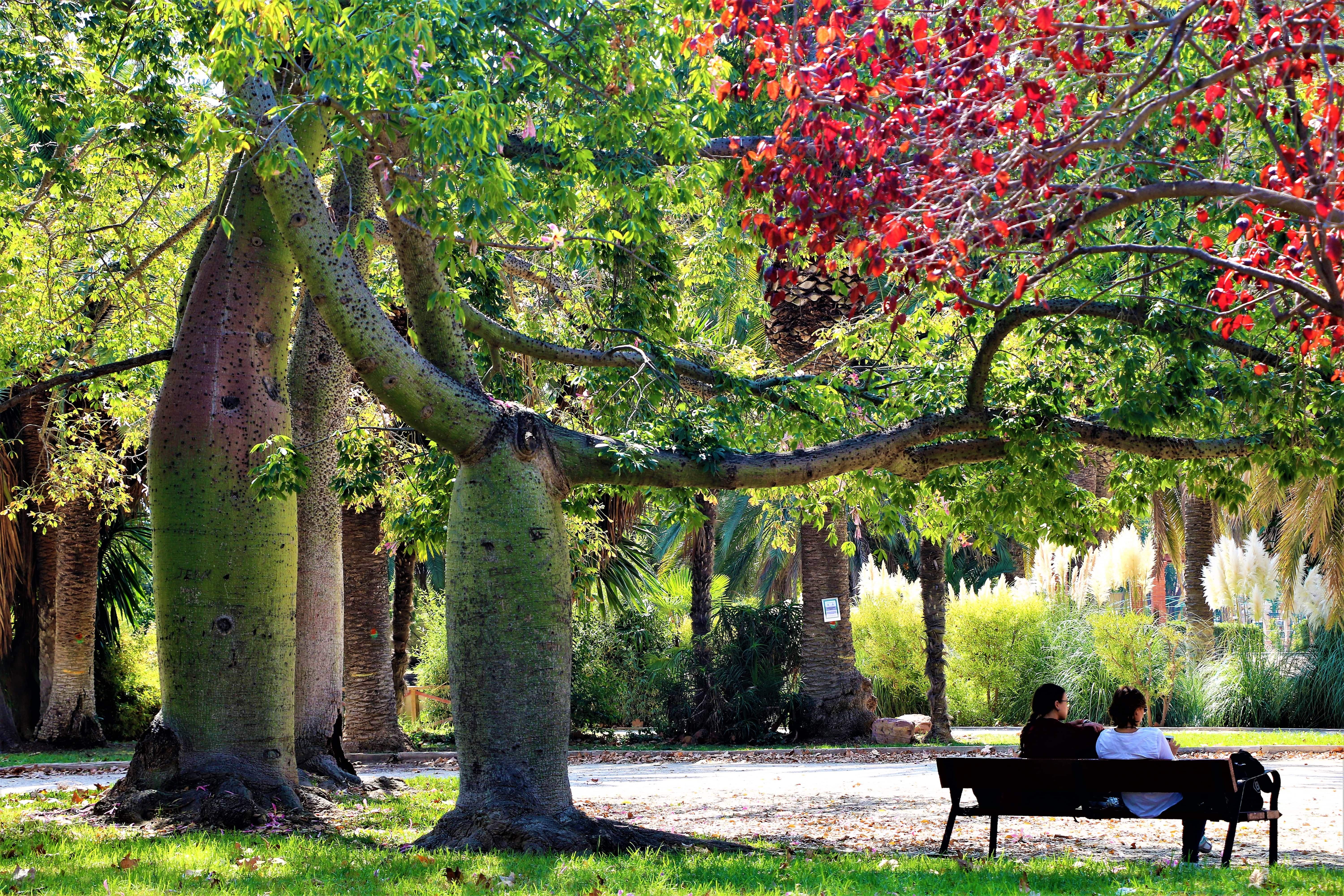 jardin-de-viveros