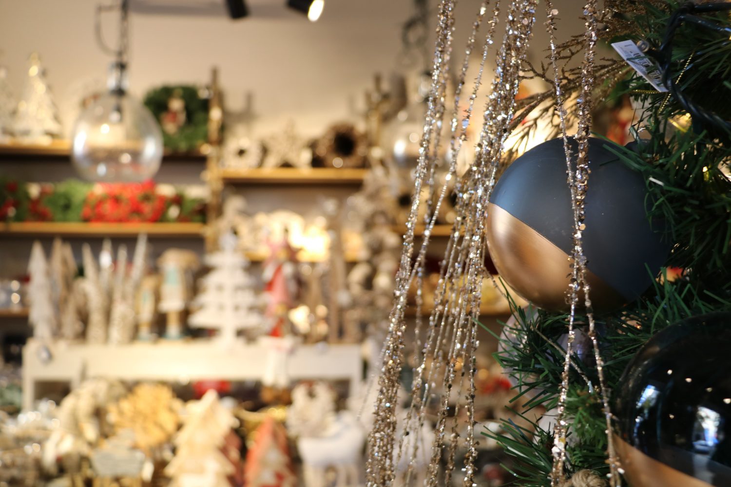 winkel-valencia-triggo