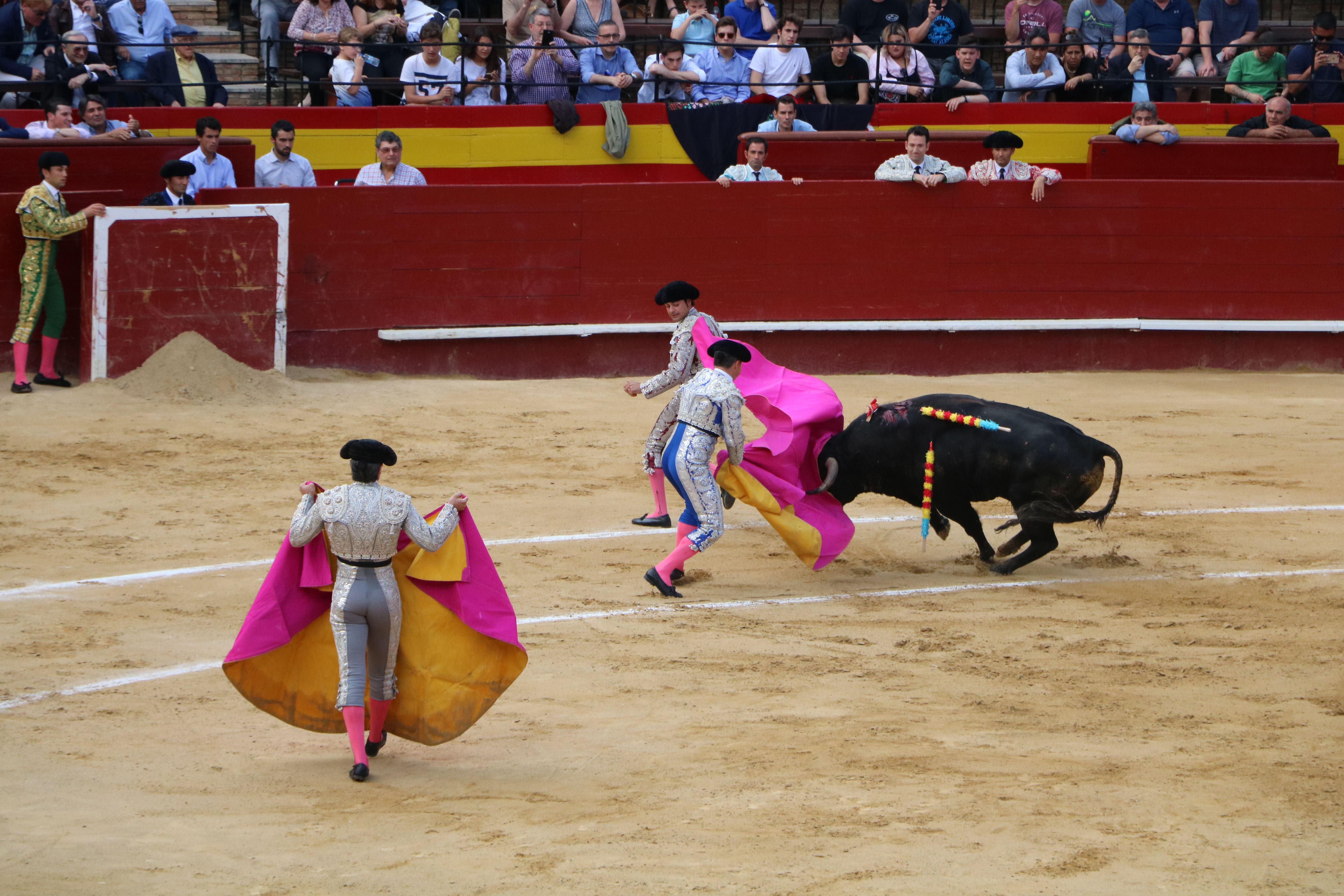 plaza-de-toros-valencia-stierenarena