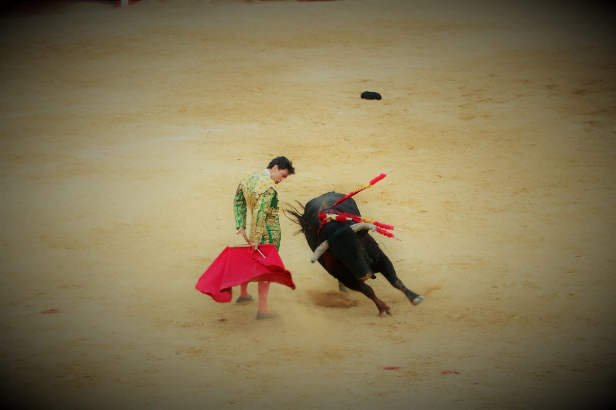 bezienswaardigheden-valencia-plaza-de-toros-stierenarena