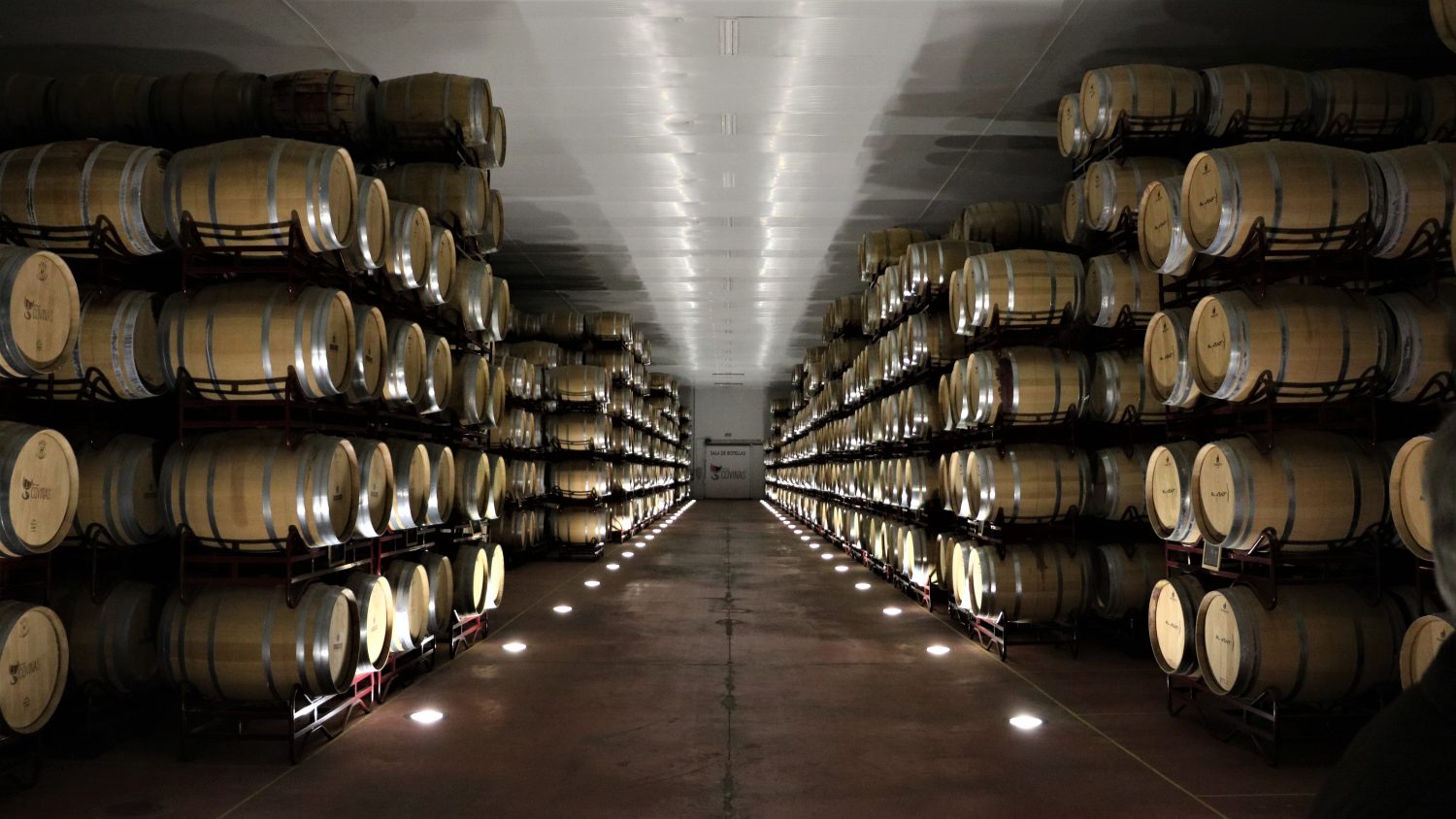 bodega-requena-las-coviñas