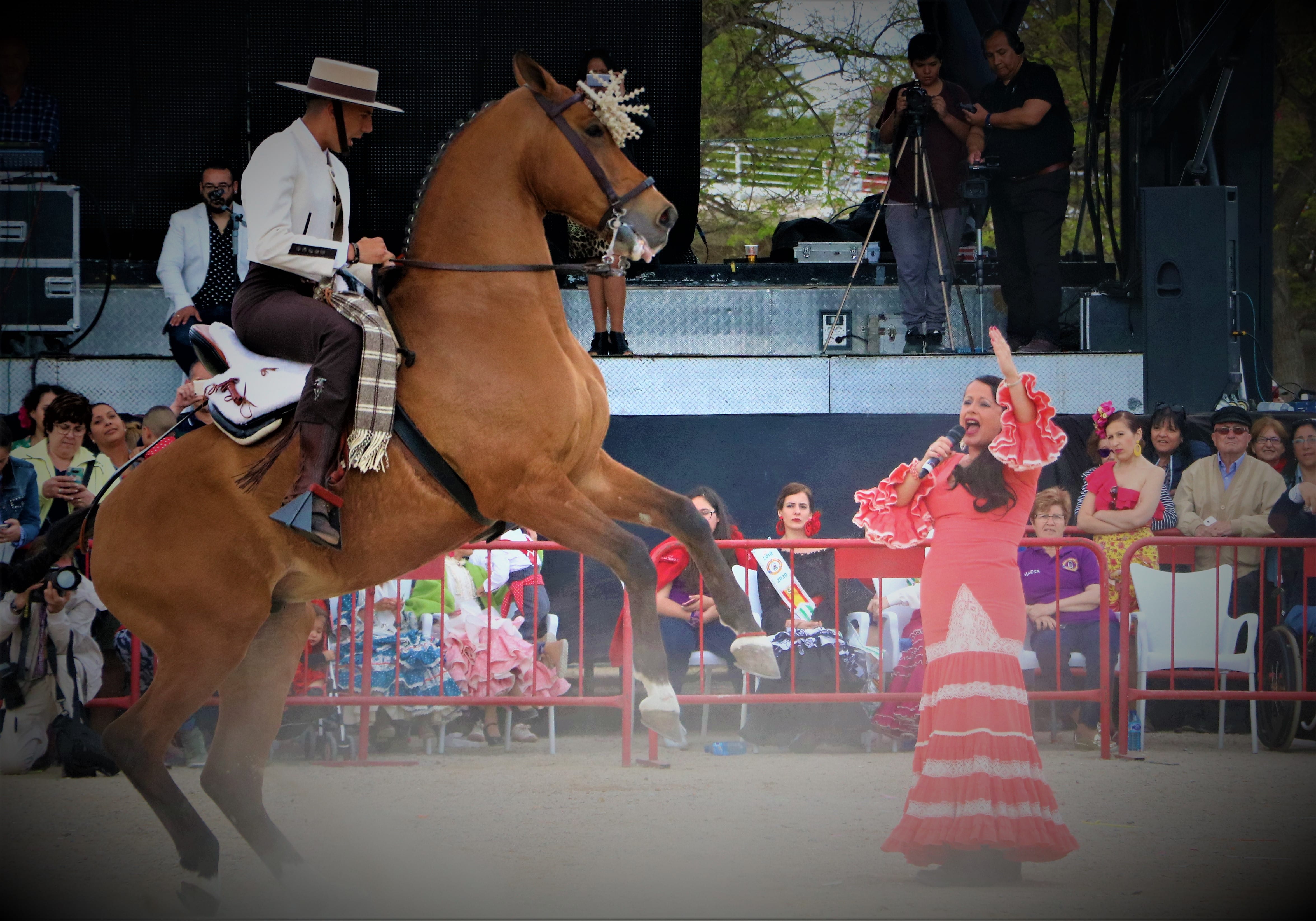 feria-andaluza-valencia
