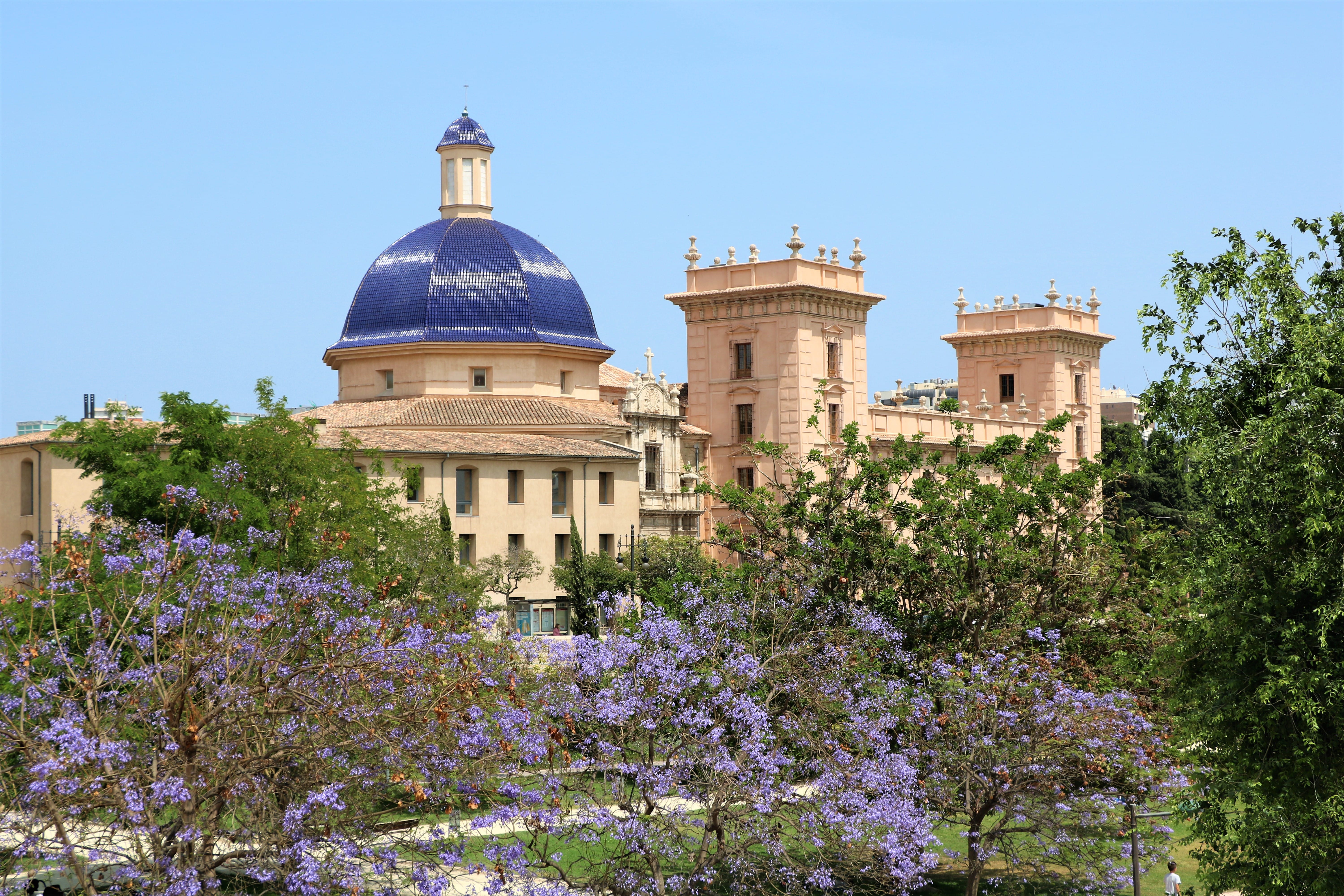 museo-de-bellas-artes-valencia