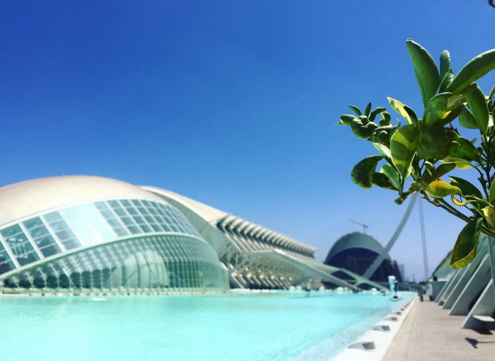 bezienswaardigheden-valencia-ciudad-de-las-artes-y-las-ciencias-valencia-stad-van-de-kunst-en-wetenschap