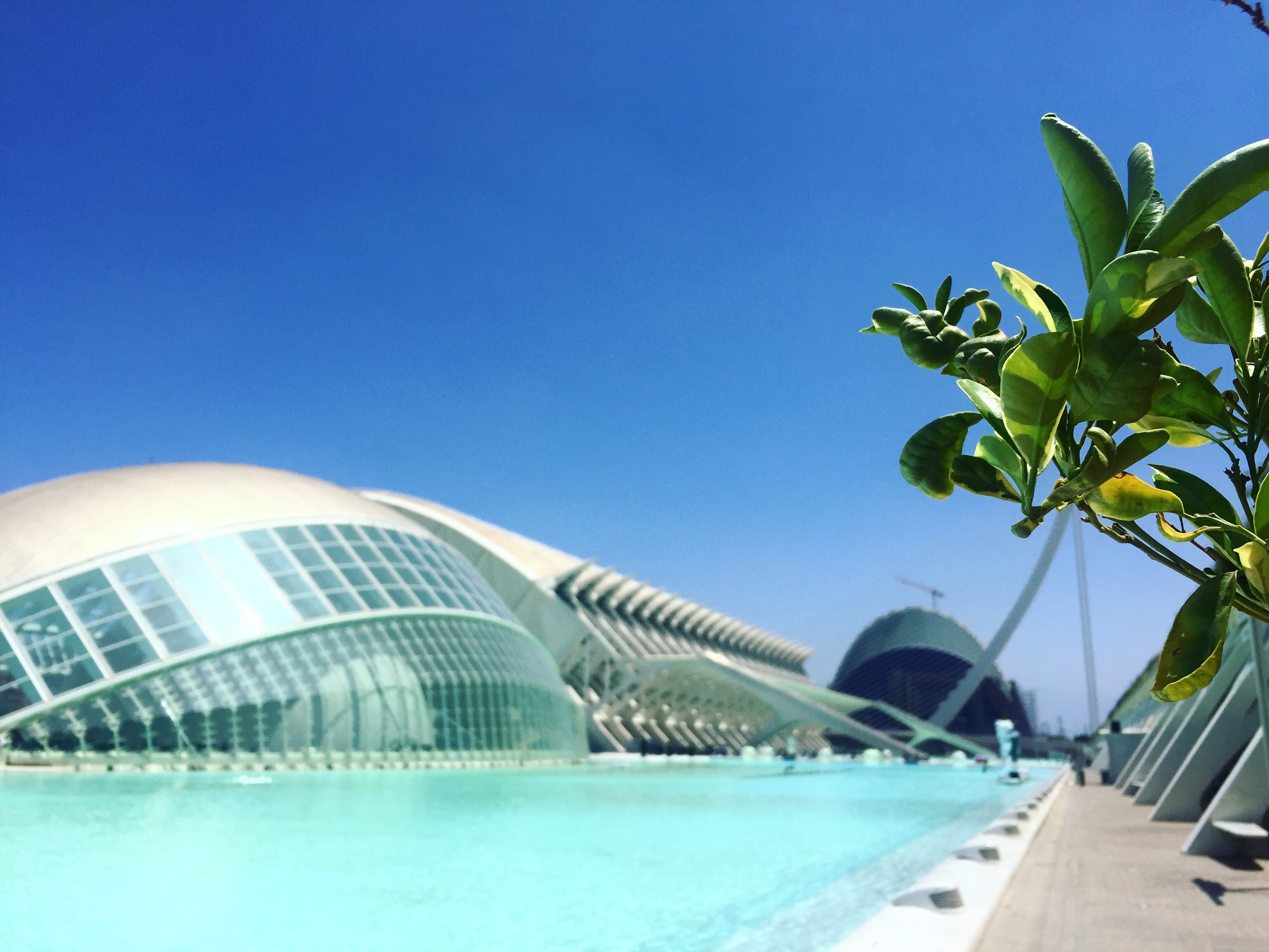 ciudad-de-las-artes-y-las-ciencias-valencia-stad-van-de-kunst-en-wetenschap