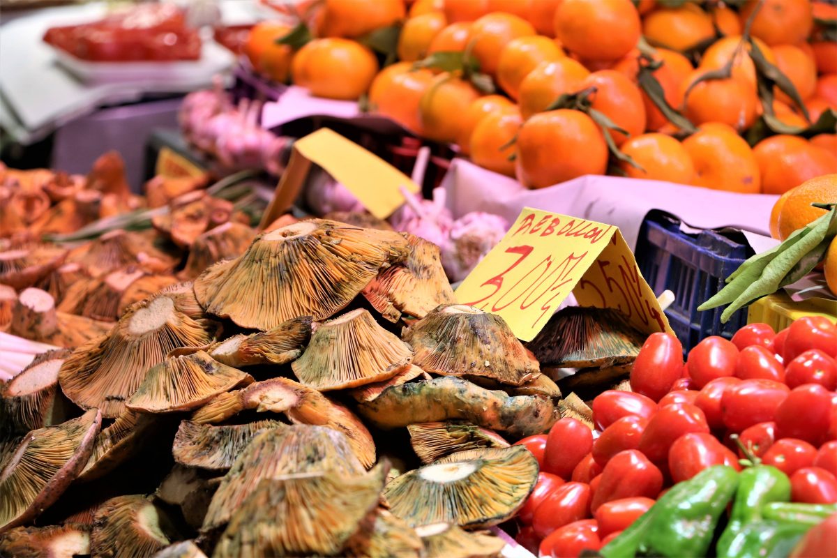 markthal-valencia-Mercat-de-Russafa