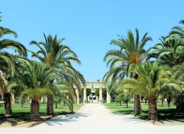 parken-valencia-jardin-del-turia