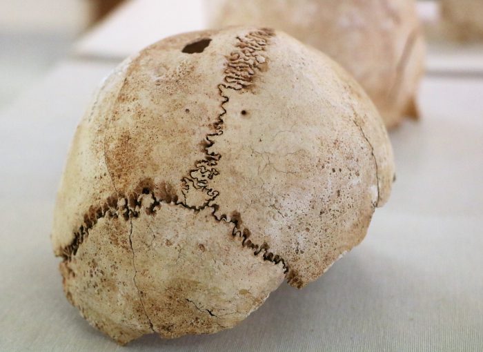 bezienswaardigheden-valencia-Museo-de-Prehistoria-de-Valencia