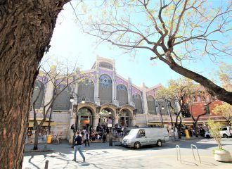 Gort-over-de-Grens-valencia-tour-mercado-central