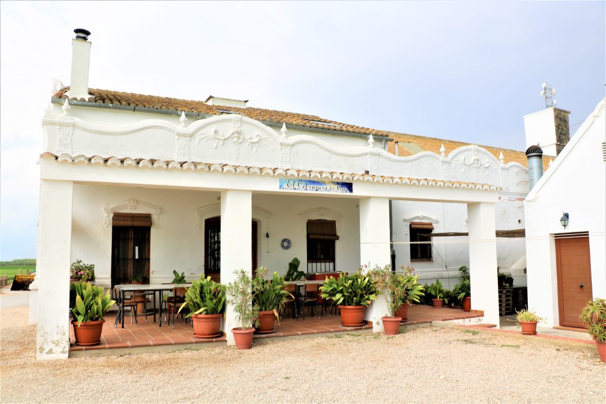 Gort-over-de-Grens-valencia-rijstvelden
