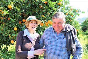 Gort-over-de-Grens-valencia-tour-sinaasappelboomgaard