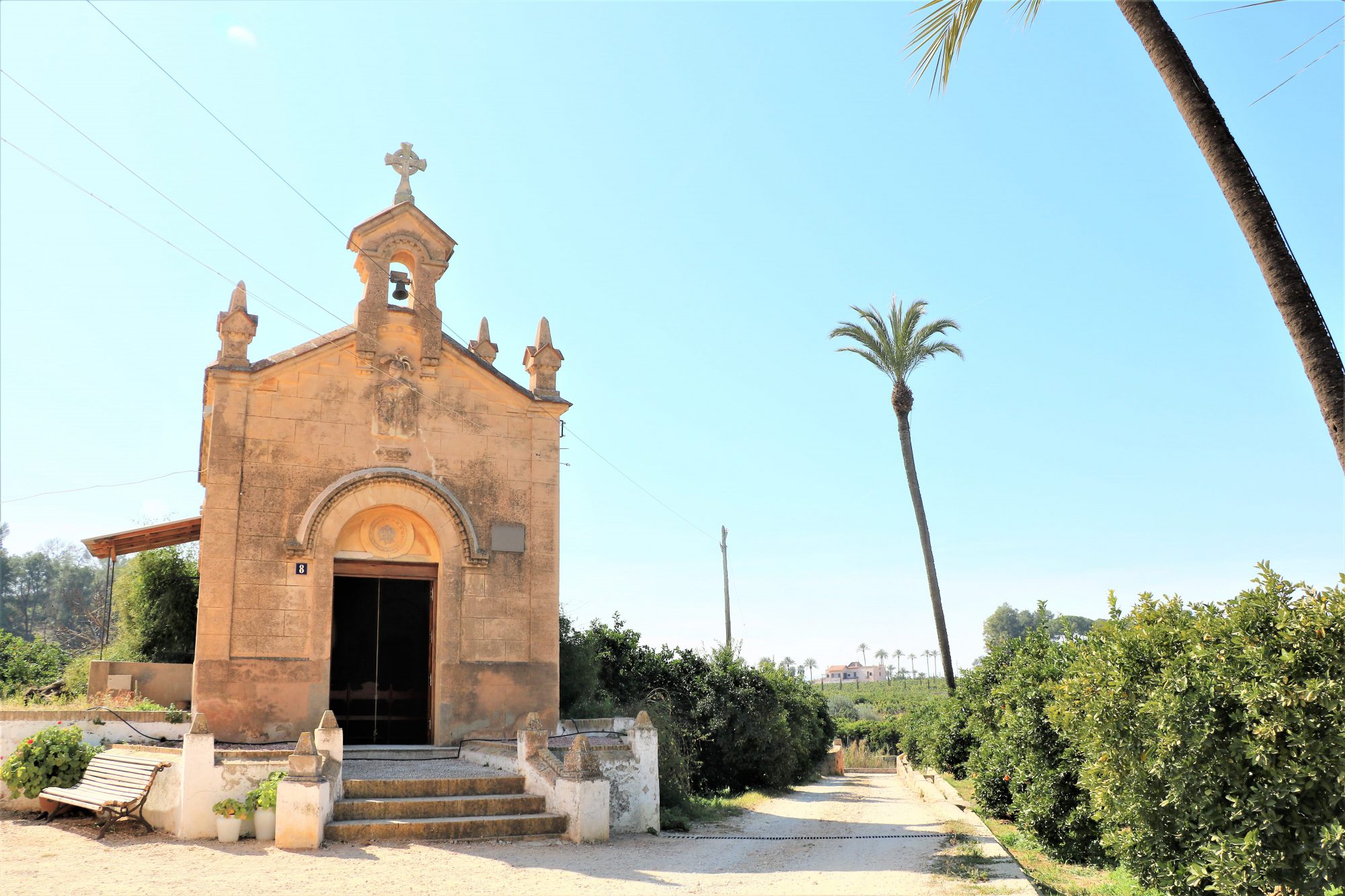 Gort-over-de-Grens-valencia-sinaasappelboomgaard