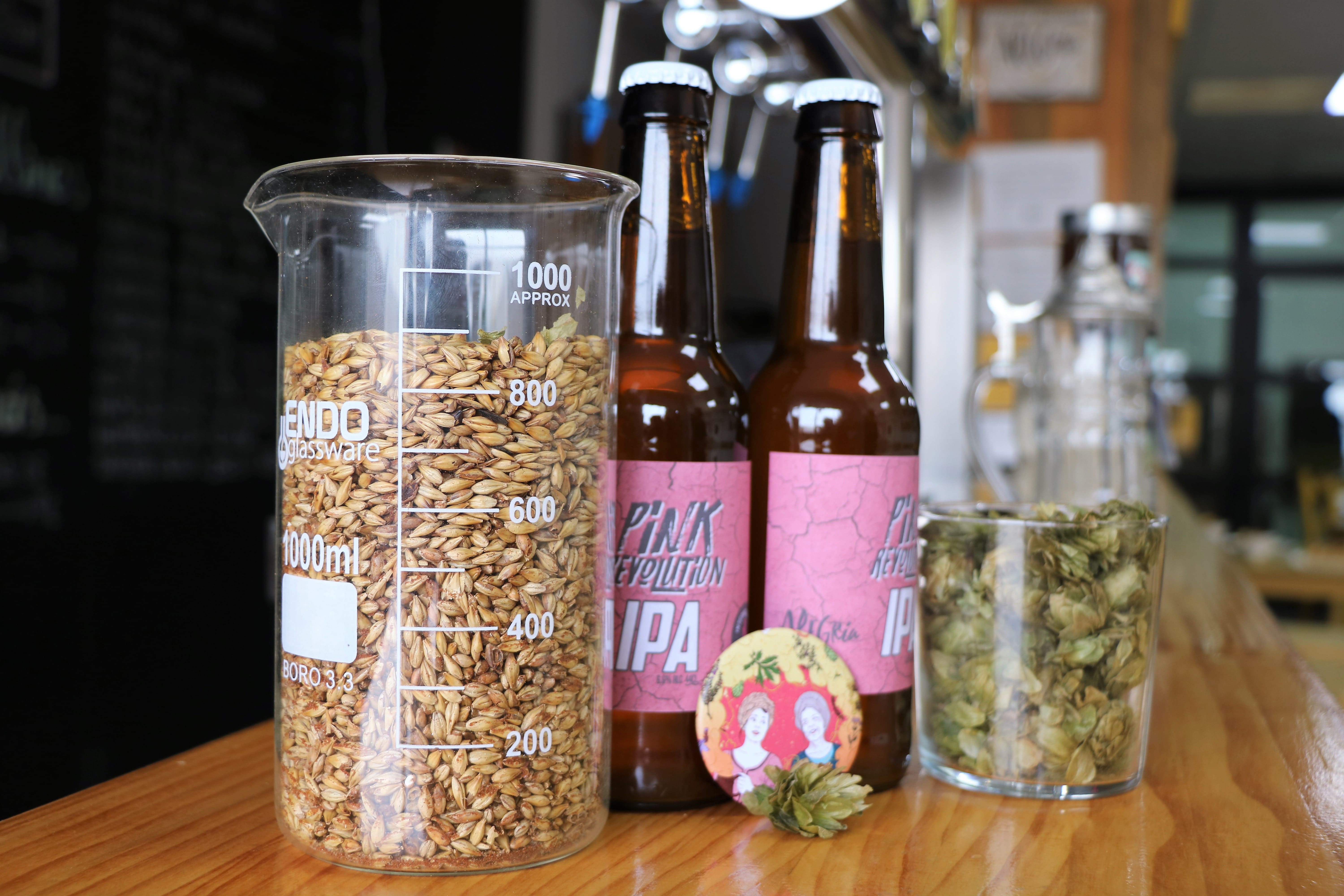 valencia-blog-bier-pink-revolution