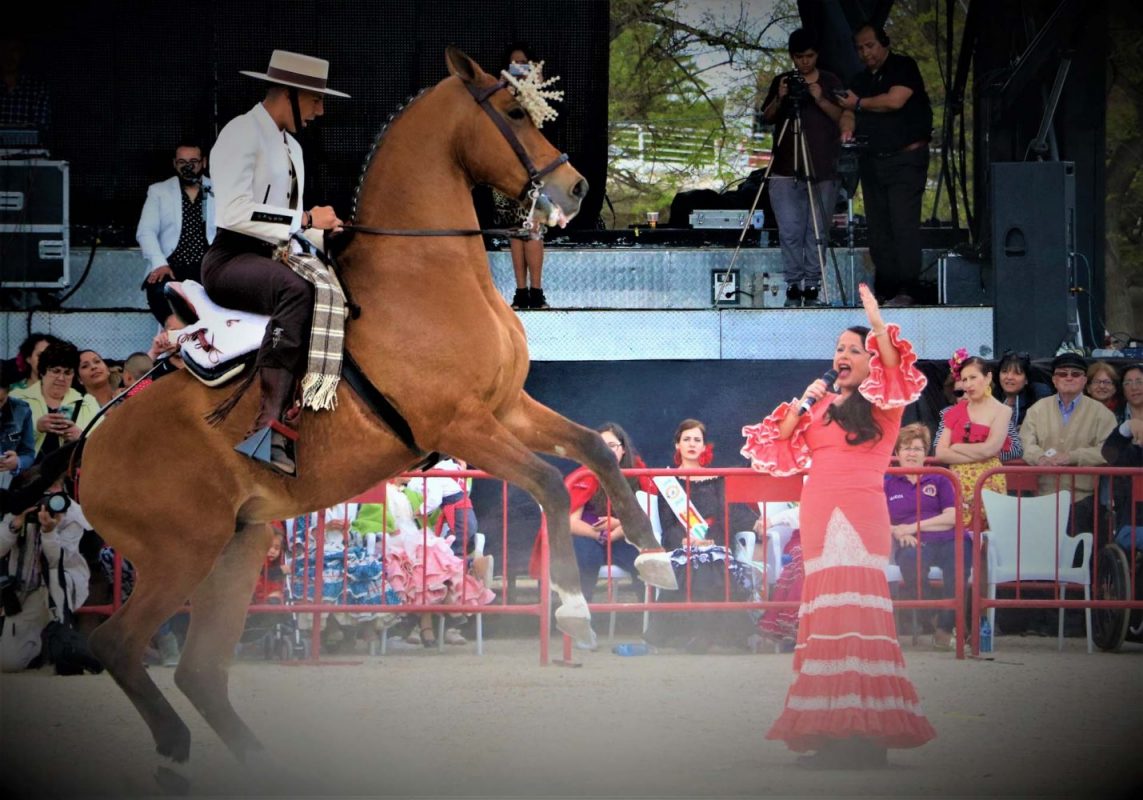 feestdagen-valencia-gran-feria-andaluza