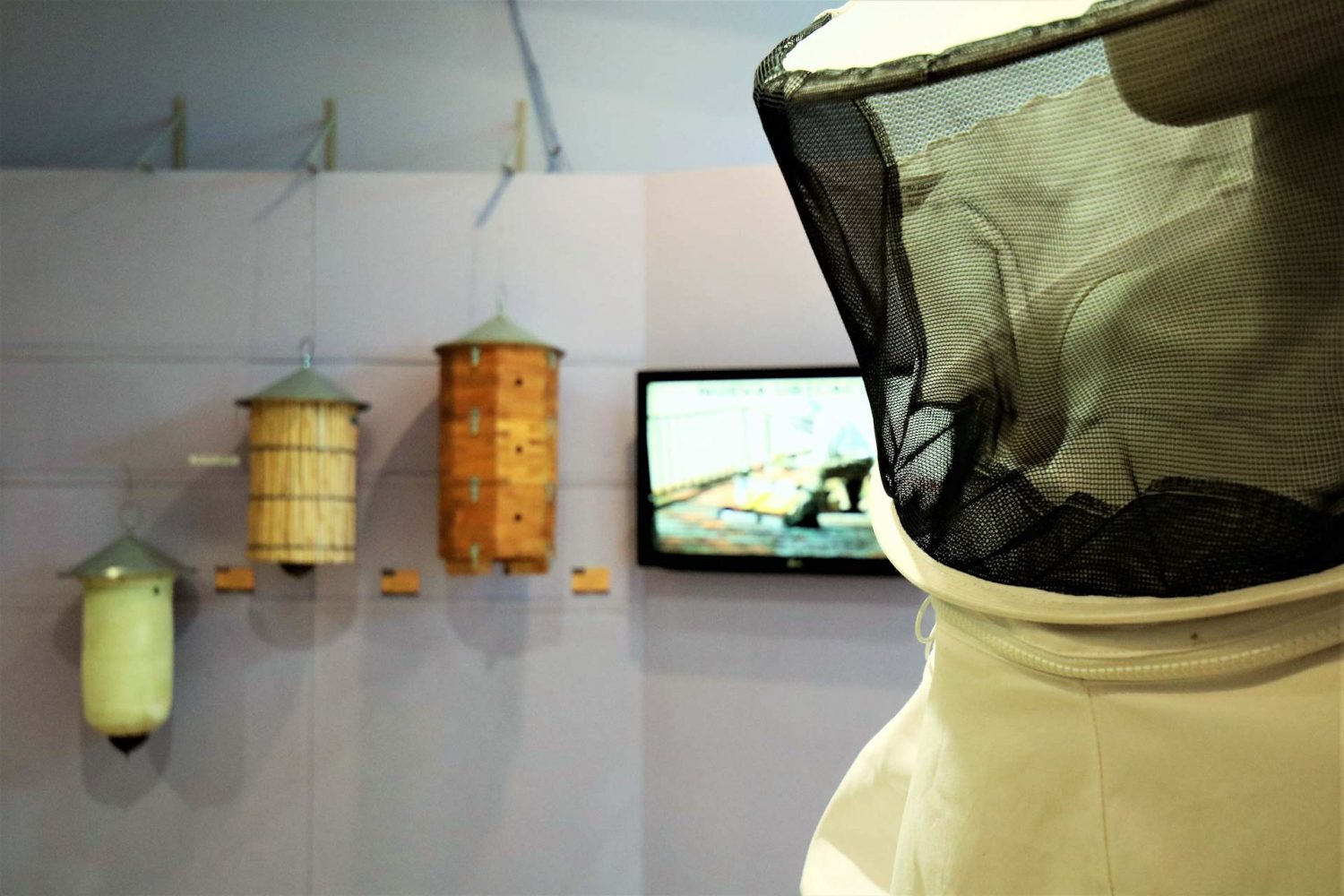 museum-valencia-museo-de-ciencias-naturales