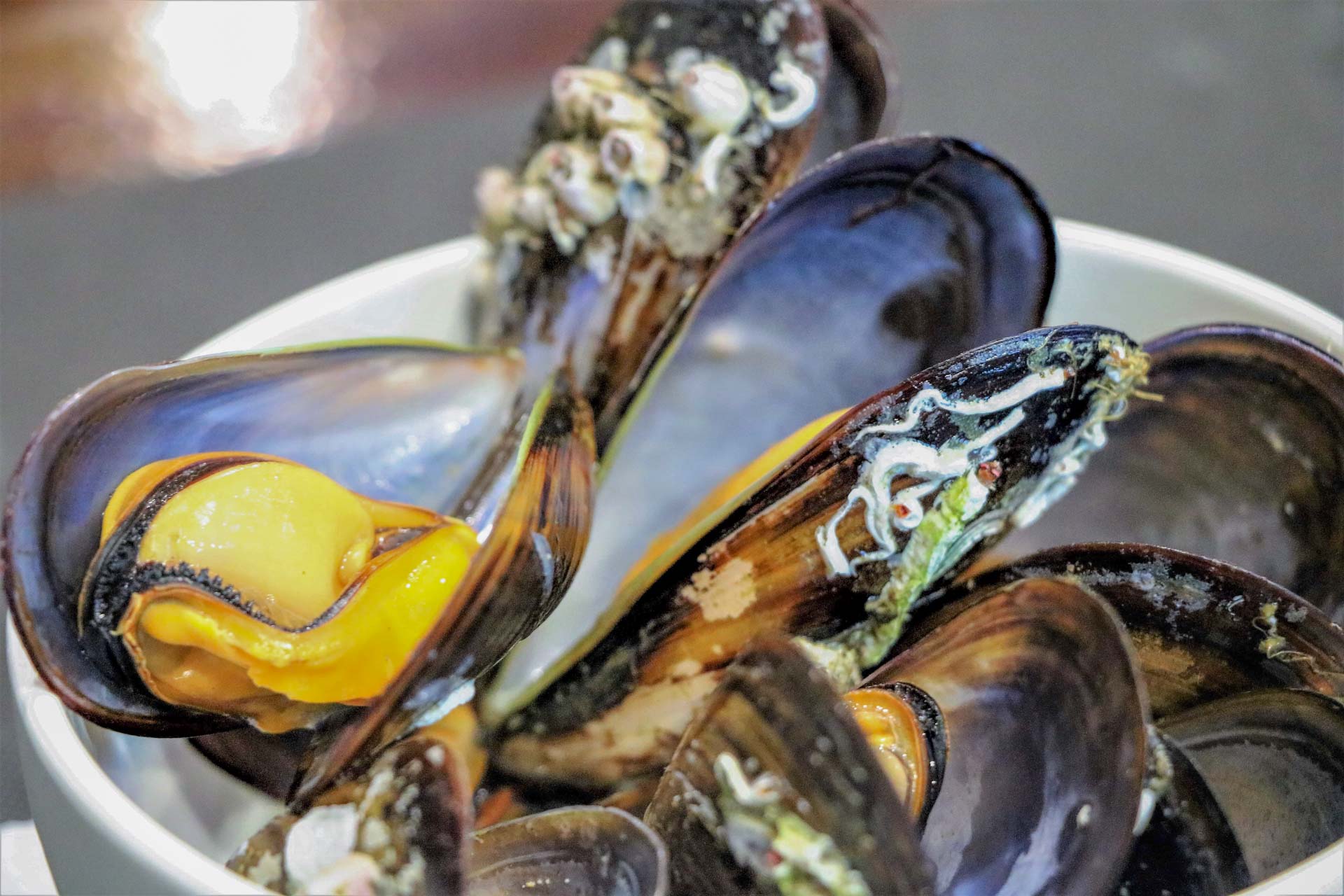restaurant-valencia-sidreria-el-molinon