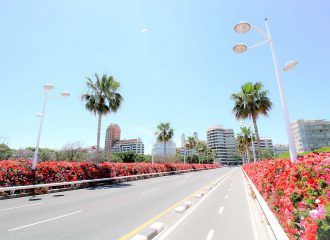 bruggen-valencia-puente-de-las-flores