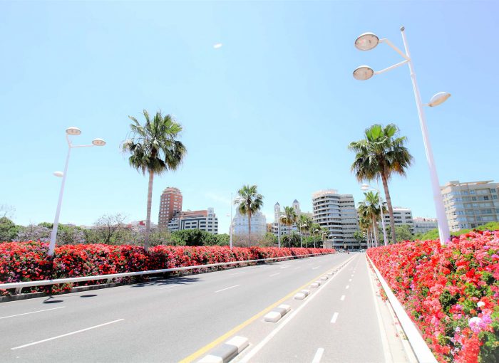 bruggen-valencia-puente-de-las-flores