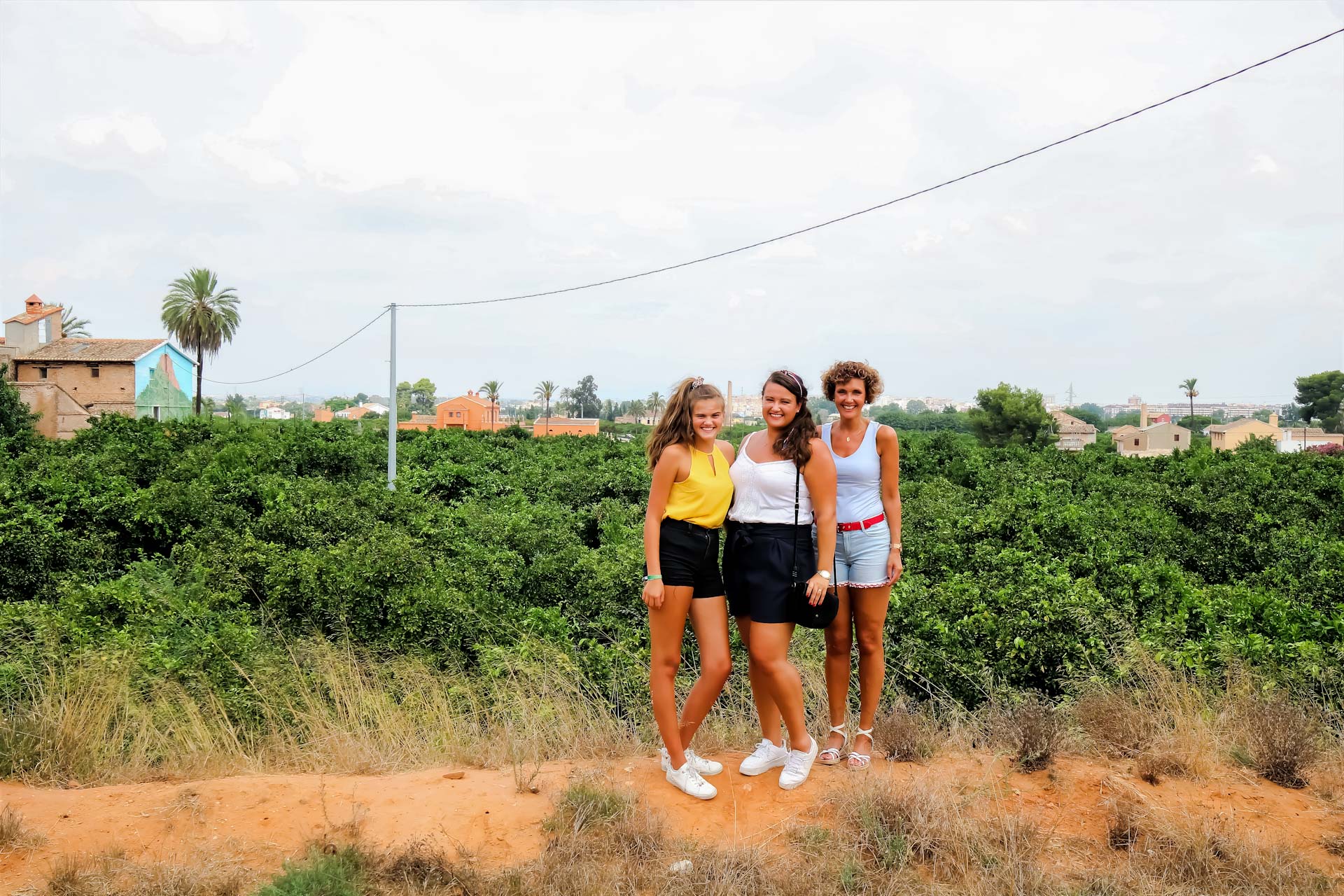 excursies-valencia-sinaasappelboomgaard