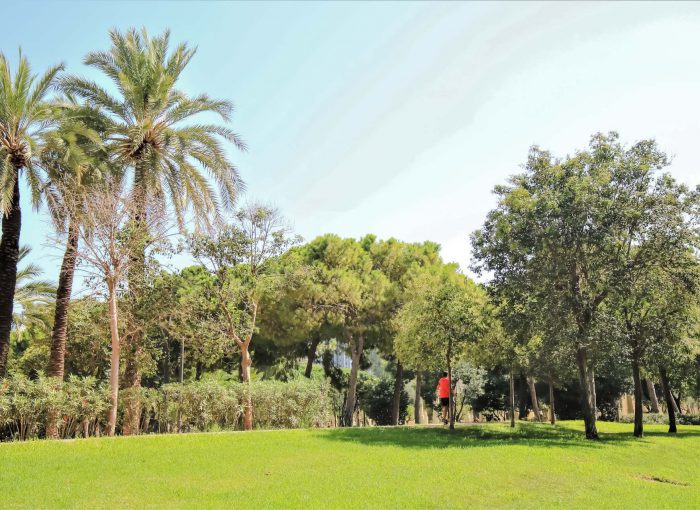 parken-valencia-jardin-del-turia