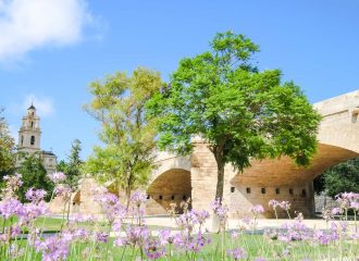 parken-valencia-jardin-del-turia