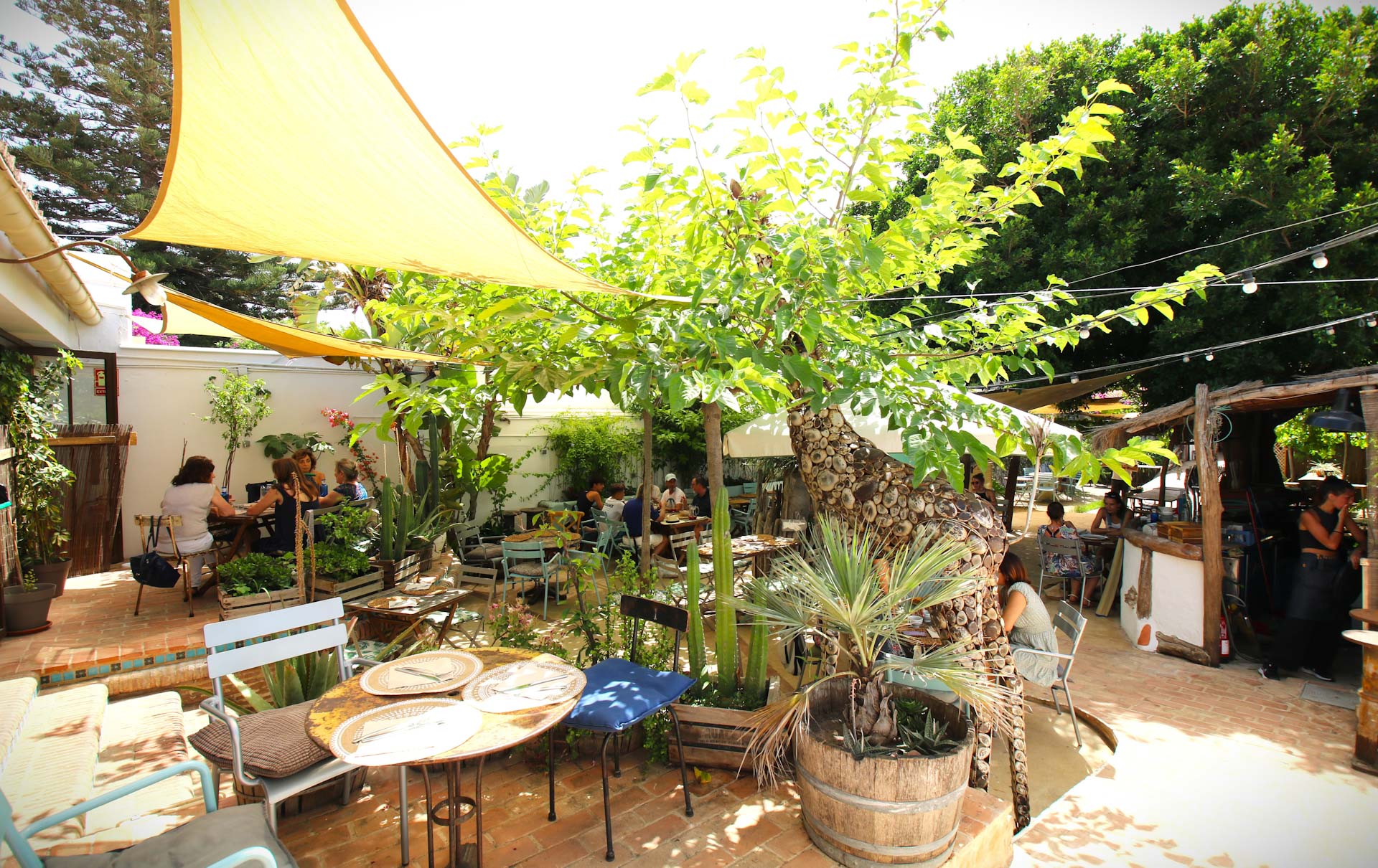restaurant-la-girafe-strand-valencia