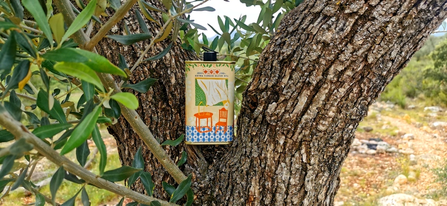 olijfgaard-valencia-spanje