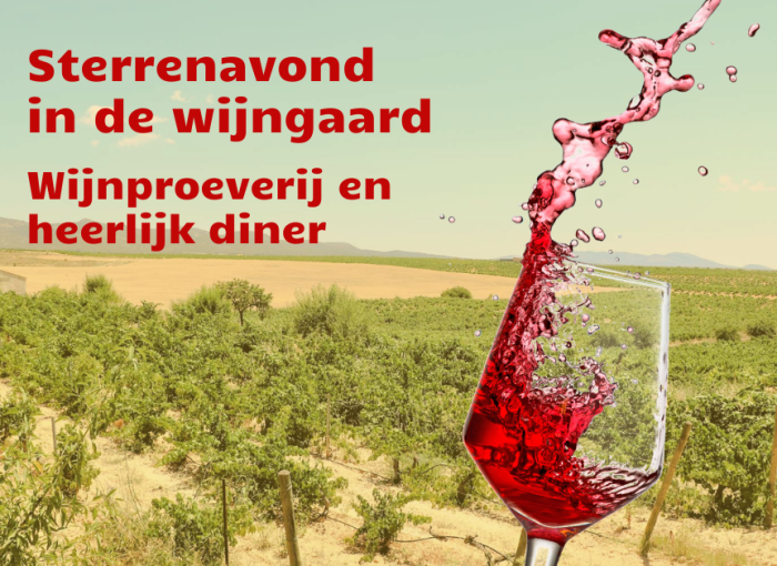 wijnproeverij-valencia-wijngaard-bodega-sterrenavond